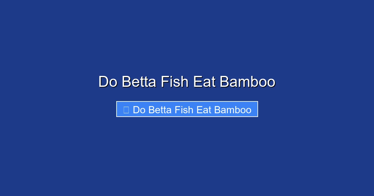 Do Betta Fish Eat Bamboo
