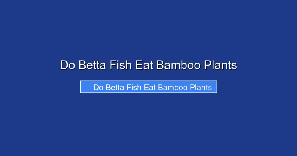 Do Betta Fish Eat Bamboo Plants