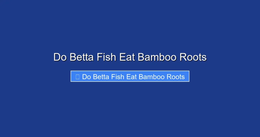 Do Betta Fish Eat Bamboo Roots