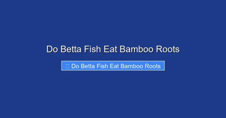 Do Betta Fish Eat Bamboo Roots