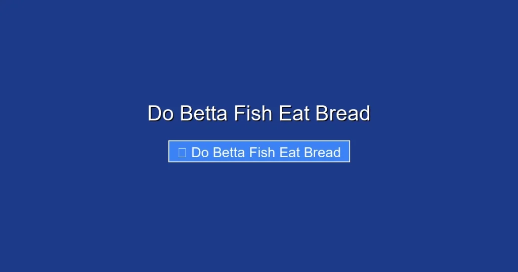 Do Betta Fish Eat Bread