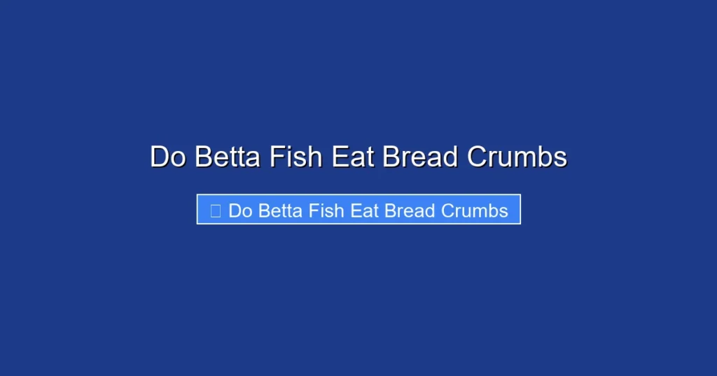 Do Betta Fish Eat Bread Crumbs