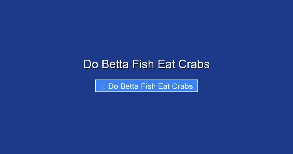 Do Betta Fish Eat Crabs