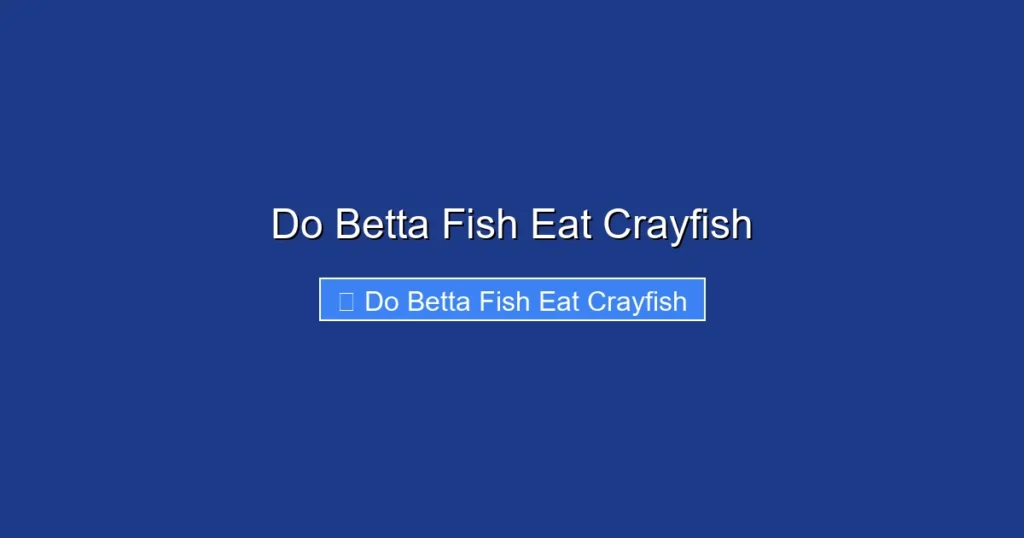 Do Betta Fish Eat Crayfish