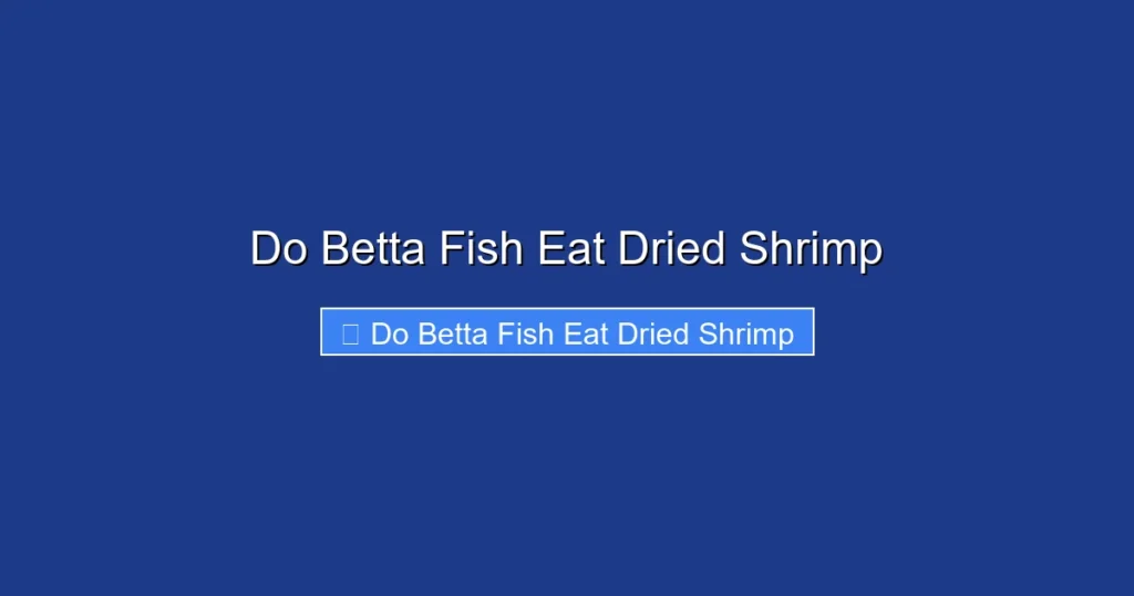 Do Betta Fish Eat Dried Shrimp