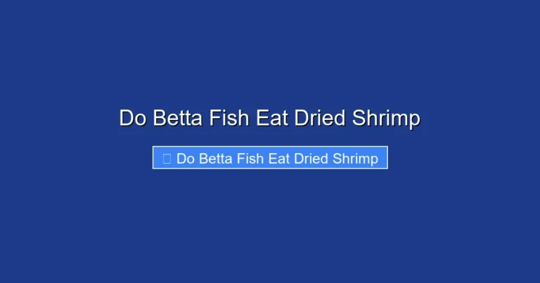 Do Betta Fish Eat Dried Shrimp