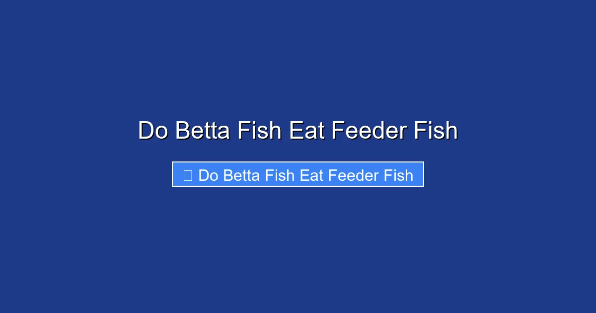 Do Betta Fish Eat Feeder Fish