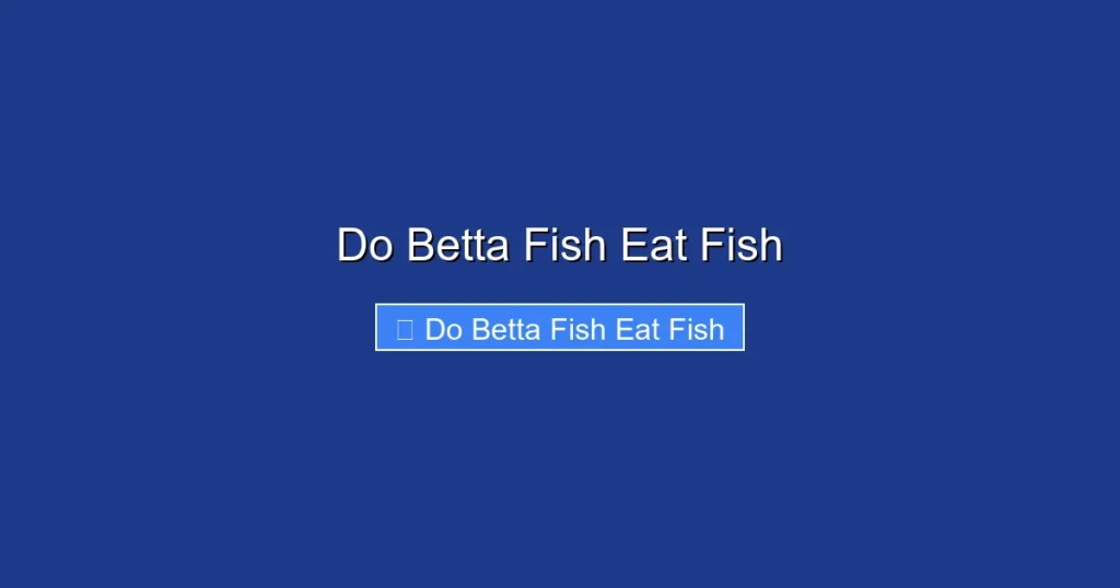 Do Betta Fish Eat Fish