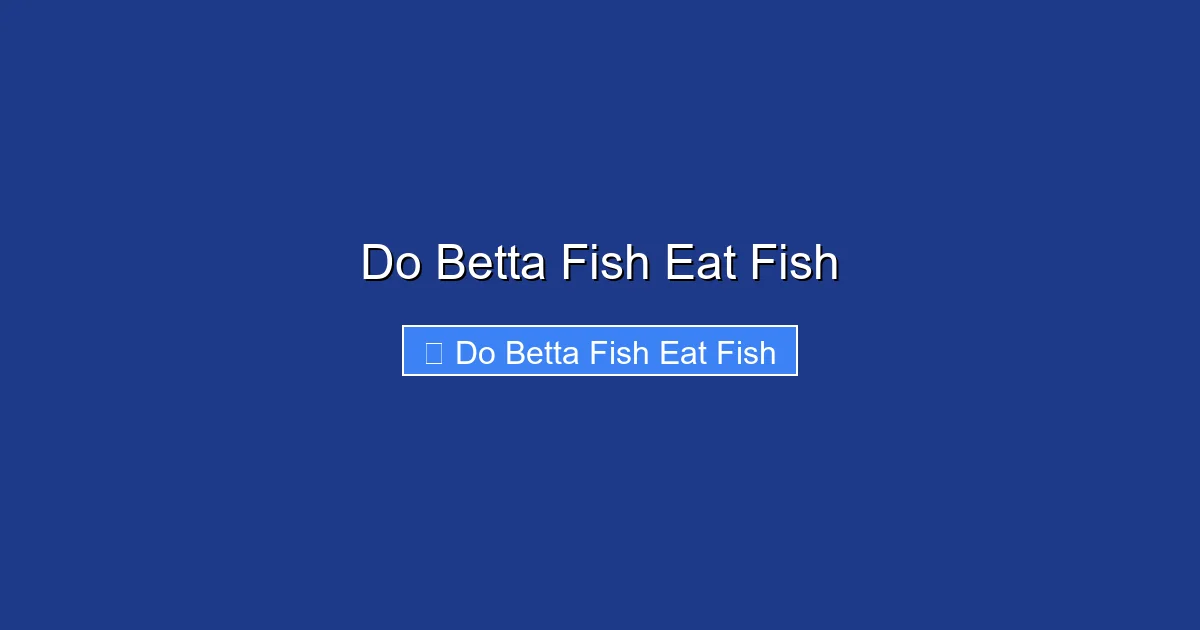 Do Betta Fish Eat Fish