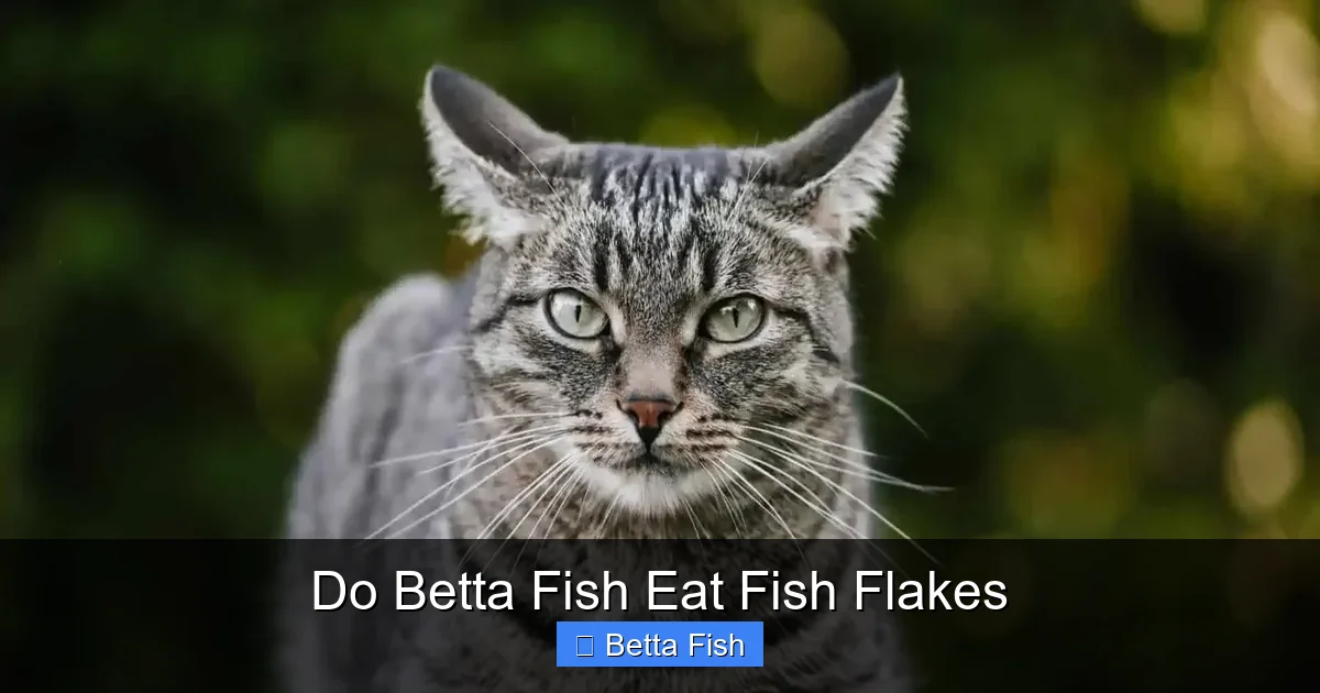 Do Betta Fish Eat Fish Flakes