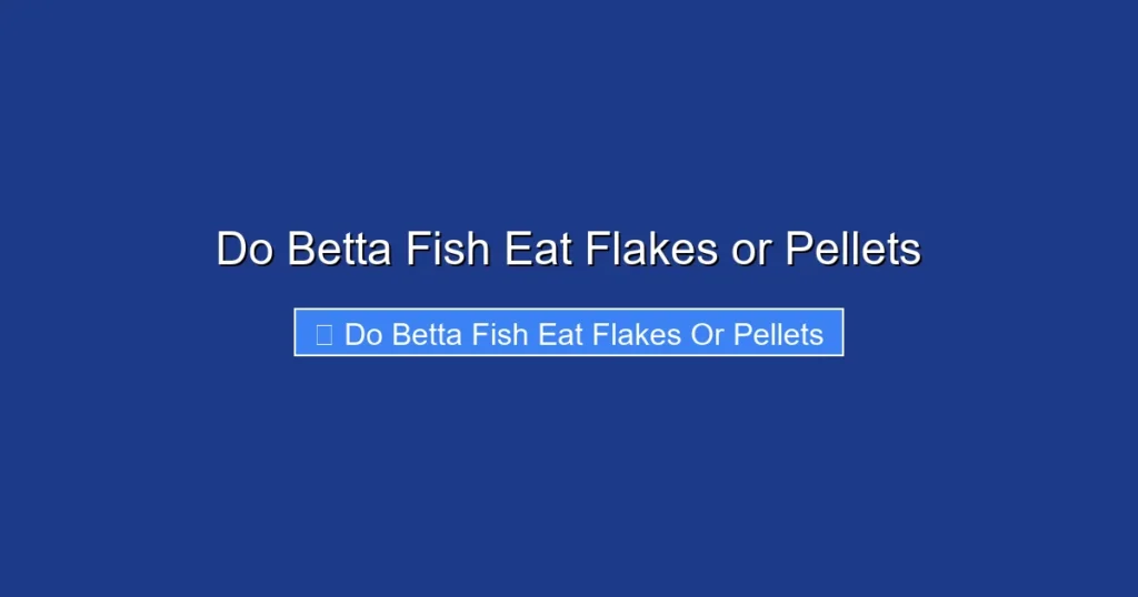 Do Betta Fish Eat Flakes or Pellets