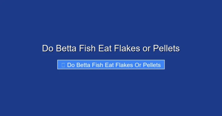 Do Betta Fish Eat Flakes or Pellets