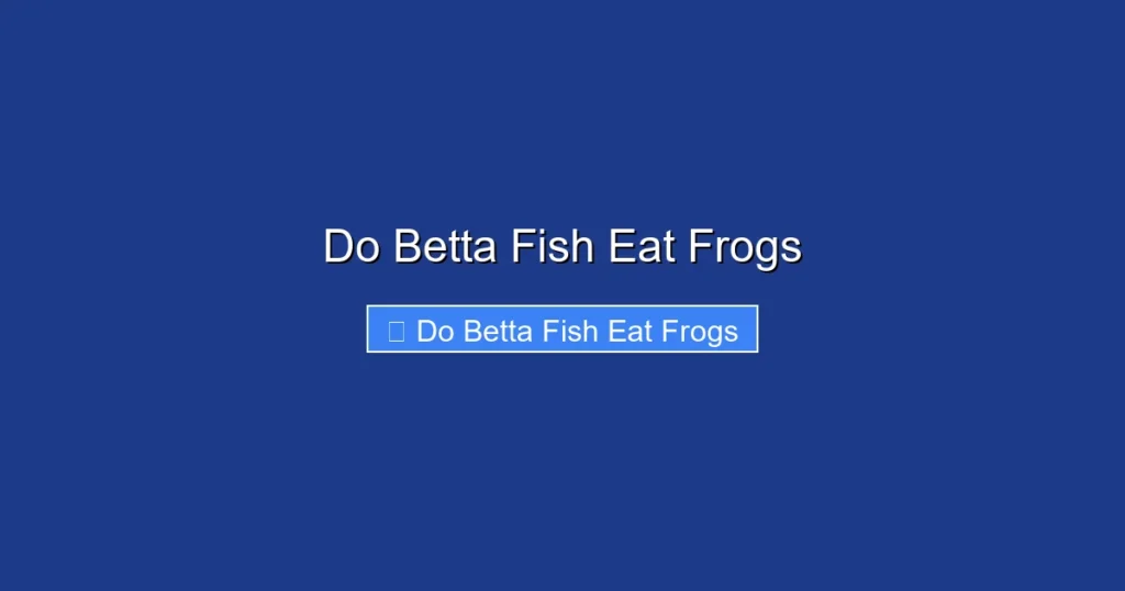 Do Betta Fish Eat Frogs