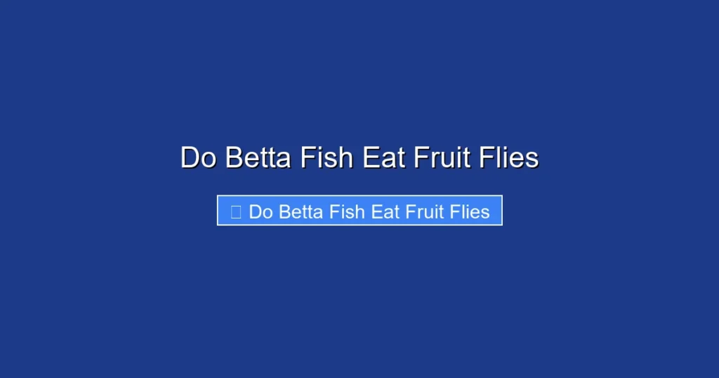 Do Betta Fish Eat Fruit Flies