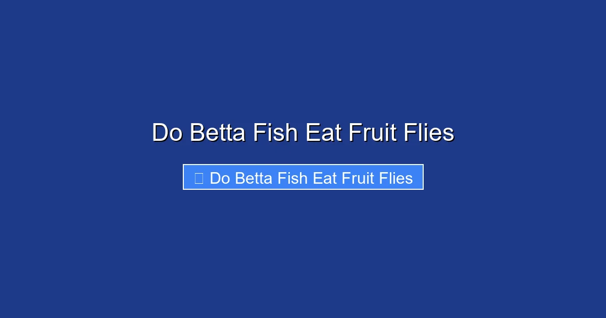 Do Betta Fish Eat Fruit Flies