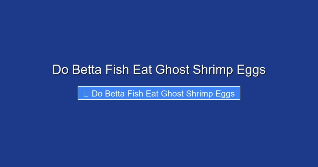 Do Betta Fish Eat Ghost Shrimp Eggs