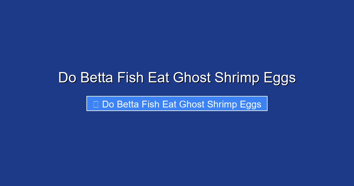 Do Betta Fish Eat Ghost Shrimp Eggs