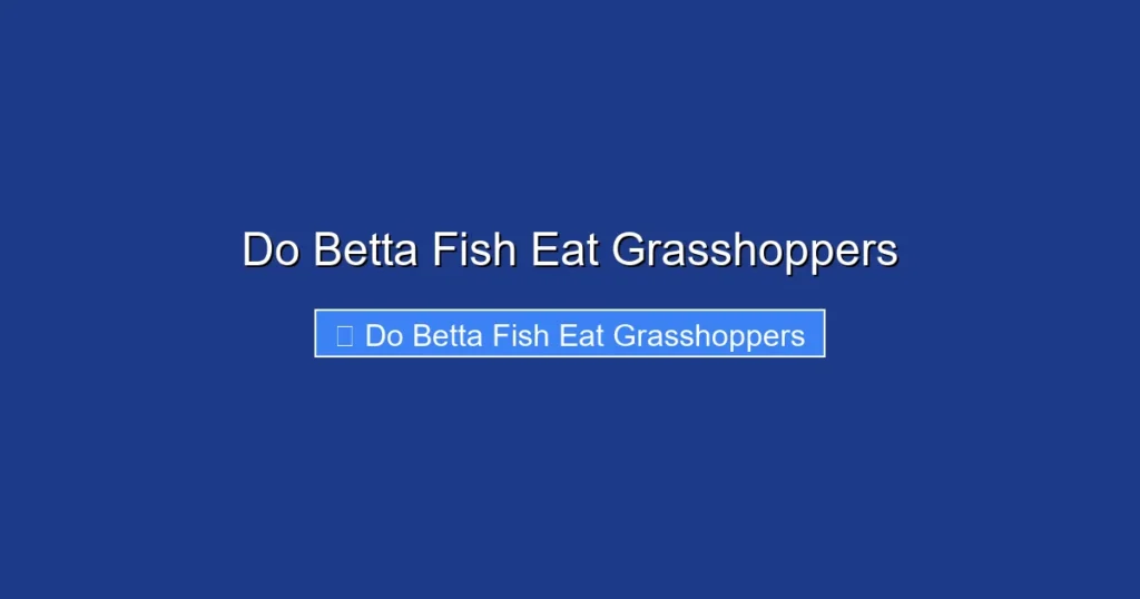 Do Betta Fish Eat Grasshoppers