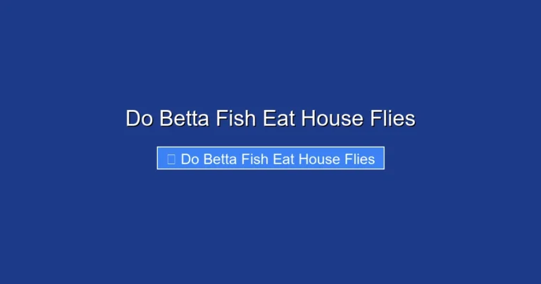 Do Betta Fish Eat House Flies