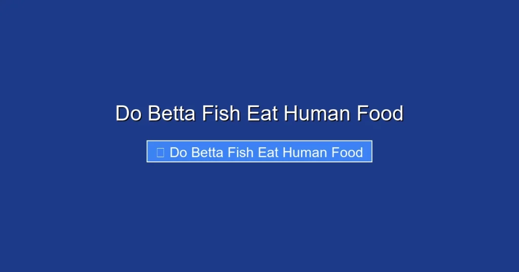 Do Betta Fish Eat Human Food