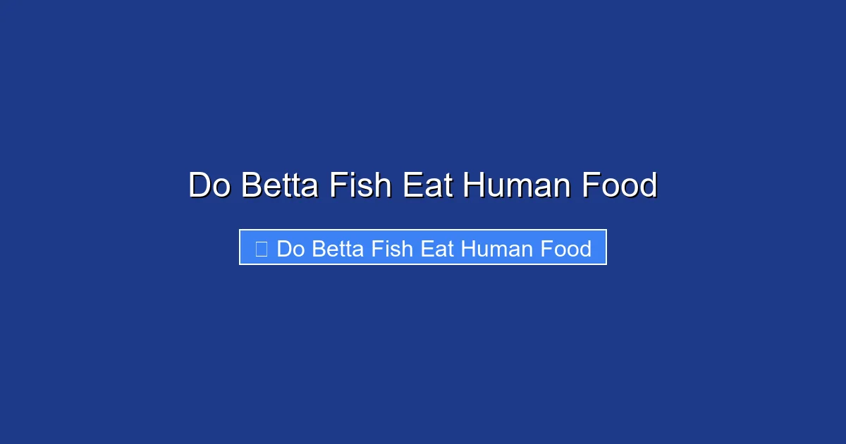 Do Betta Fish Eat Human Food