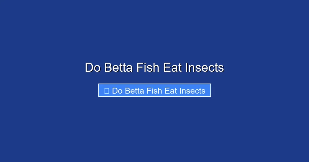 Do Betta Fish Eat Insects