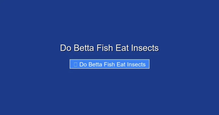Do Betta Fish Eat Insects