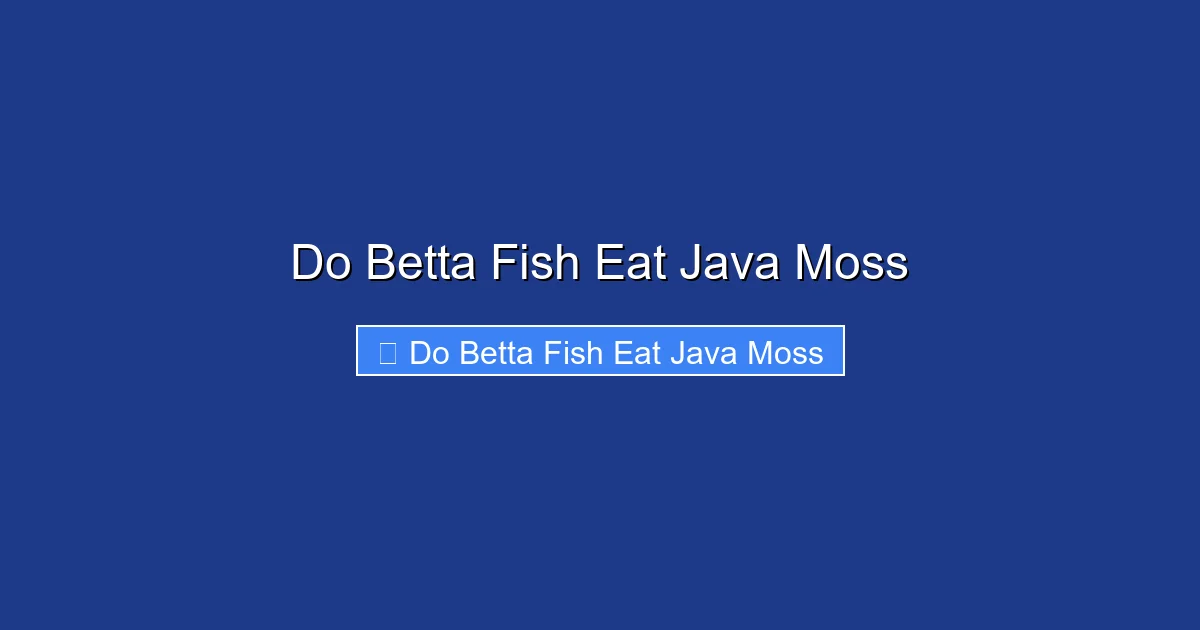 Do Betta Fish Eat Java Moss