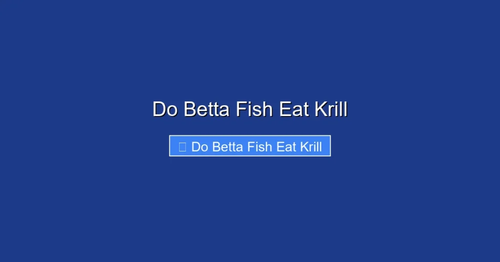 Do Betta Fish Eat Krill