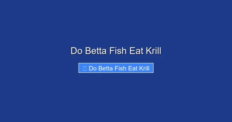 Do Betta Fish Eat Krill