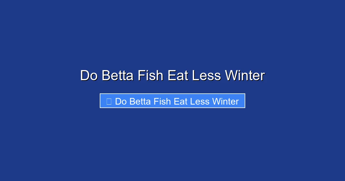 Do Betta Fish Eat Less Winter