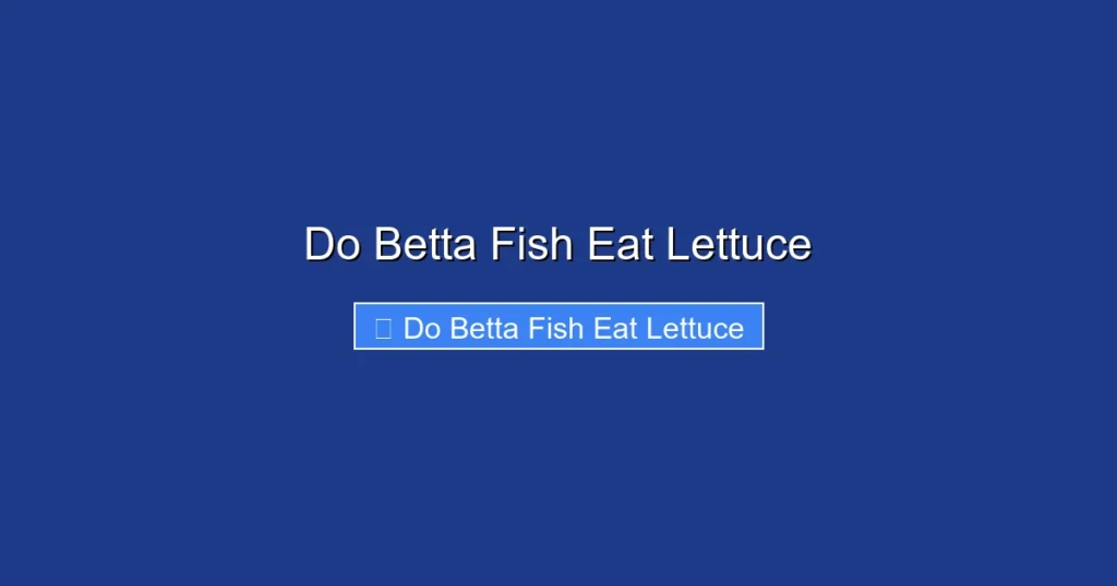 Do Betta Fish Eat Lettuce