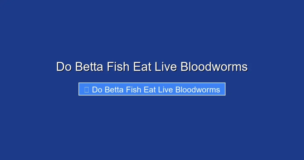 Do Betta Fish Eat Live Bloodworms