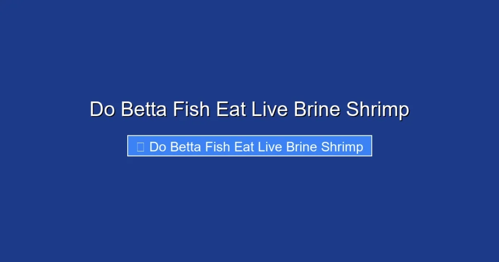 Do Betta Fish Eat Live Brine Shrimp