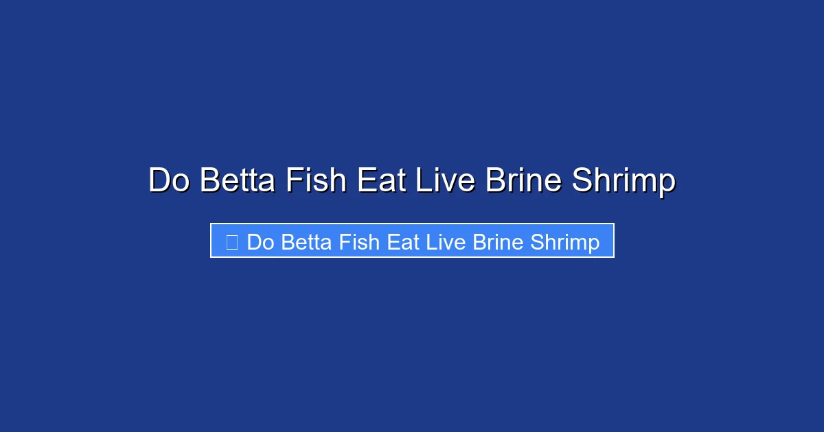 Do Betta Fish Eat Live Brine Shrimp
