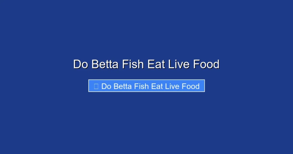 Do Betta Fish Eat Live Food
