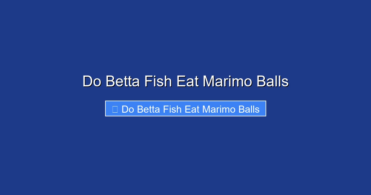 Do Betta Fish Eat Marimo Balls