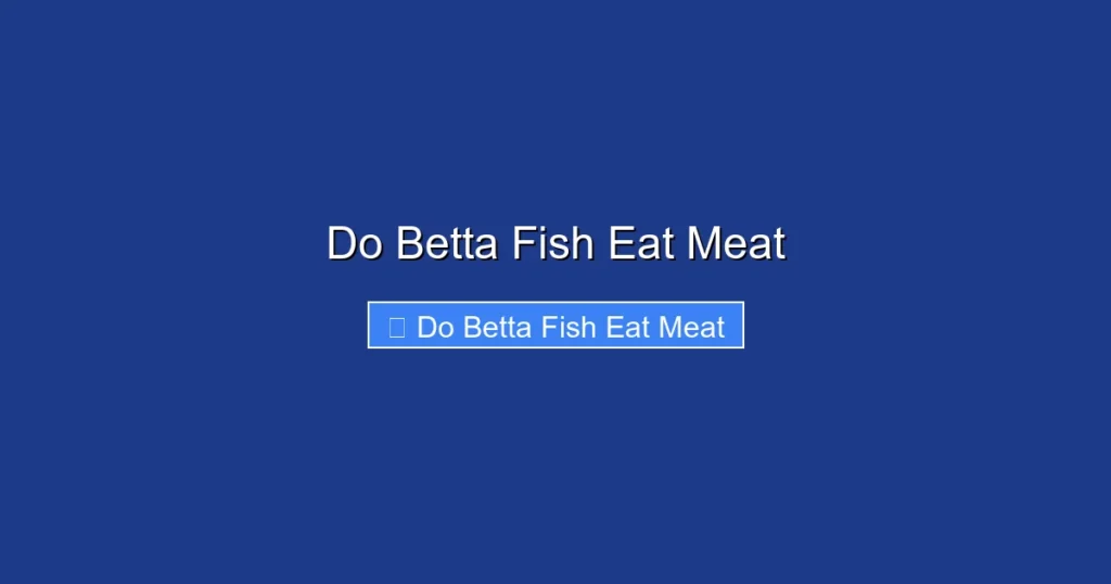 Do Betta Fish Eat Meat