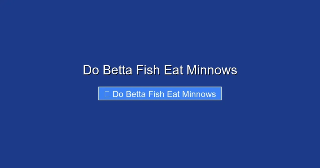 Do Betta Fish Eat Minnows