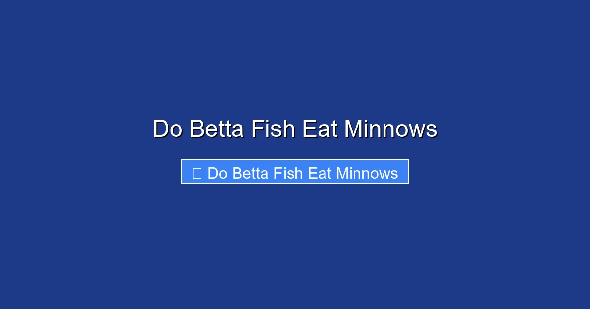 Do Betta Fish Eat Minnows