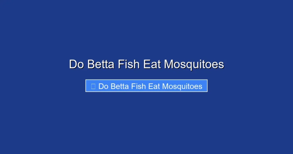 Do Betta Fish Eat Mosquitoes