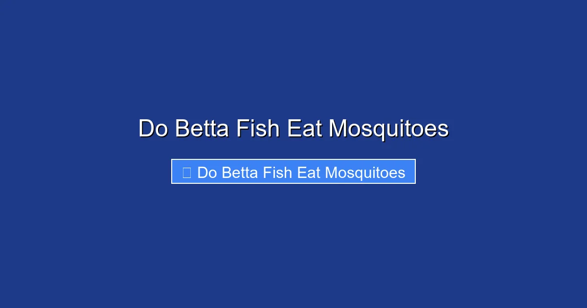 Do Betta Fish Eat Mosquitoes