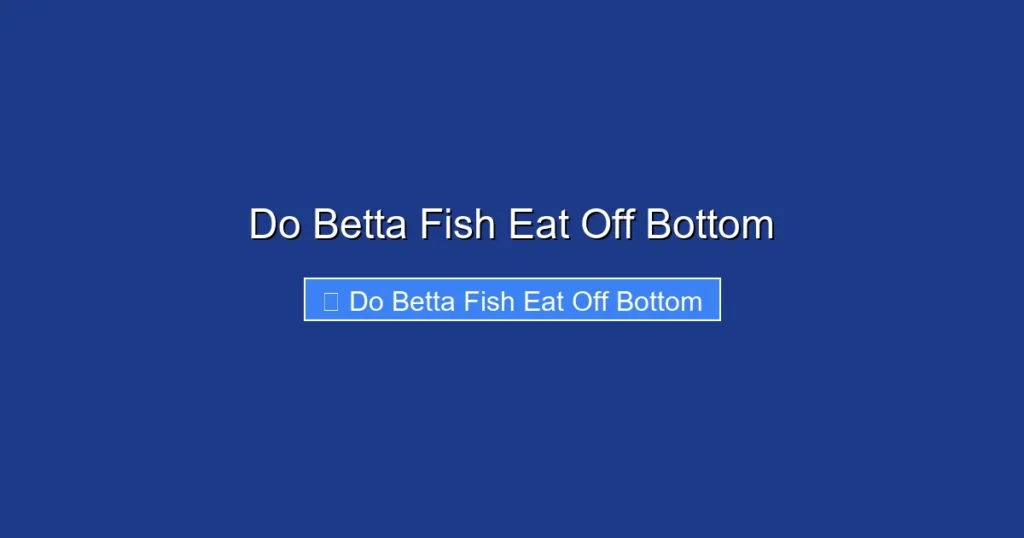 Do Betta Fish Eat Off Bottom