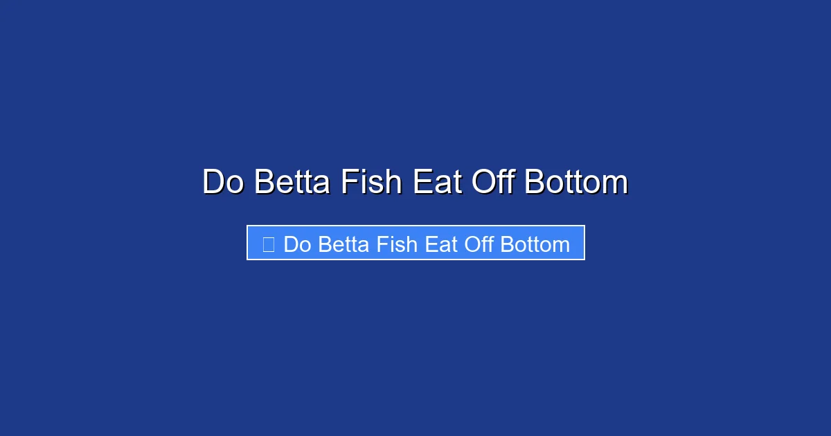 Do Betta Fish Eat Off Bottom