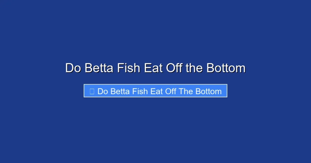 Do Betta Fish Eat Off the Bottom
