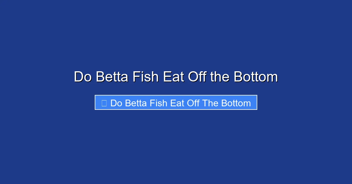 Do Betta Fish Eat Off the Bottom