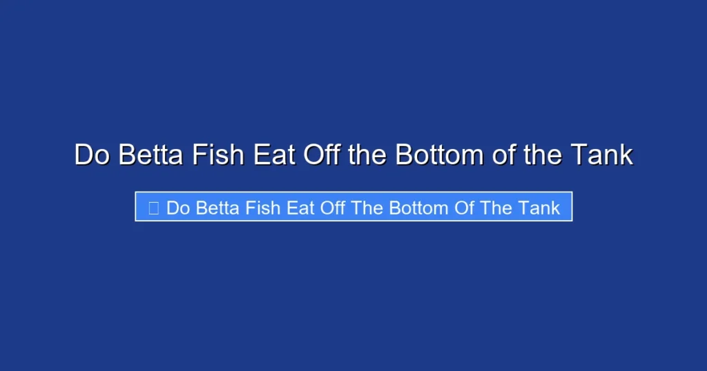 Do Betta Fish Eat Off the Bottom of the Tank