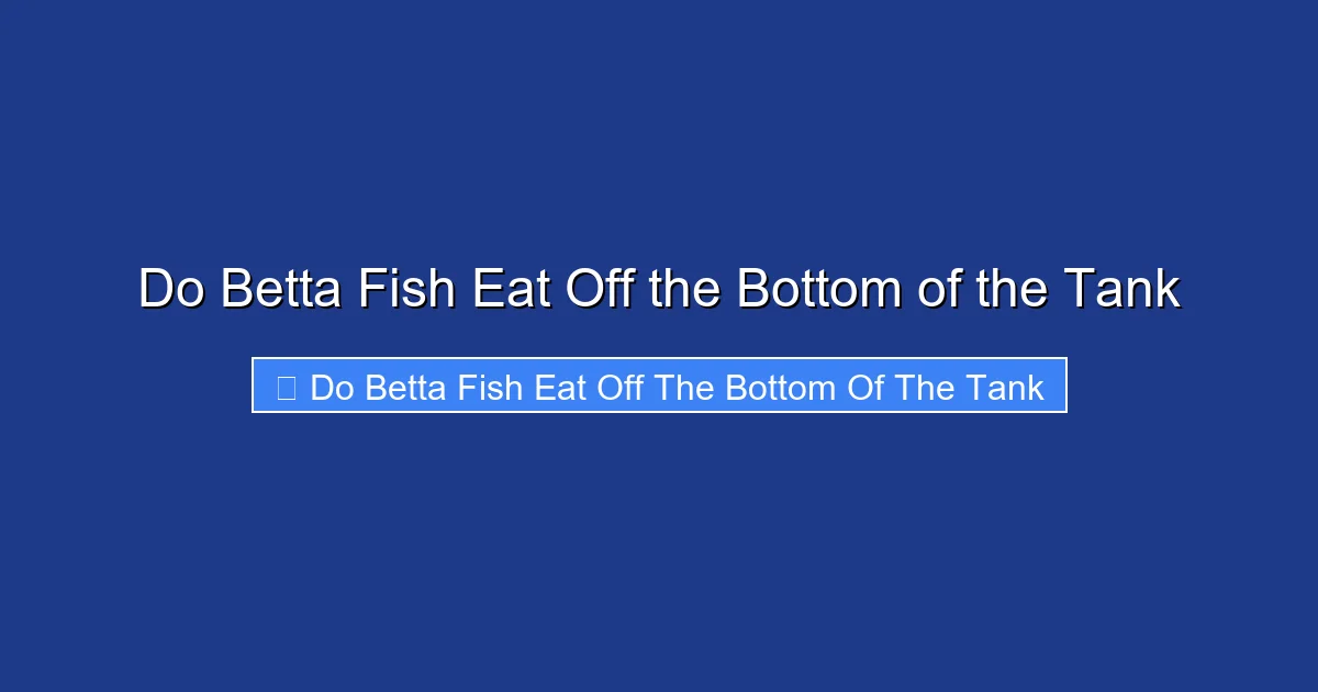 Do Betta Fish Eat Off the Bottom of the Tank