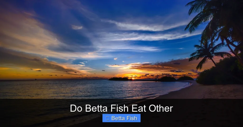 Do Betta Fish Eat Other