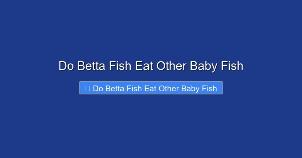 Do Betta Fish Eat Other Baby Fish